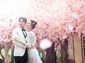 美翼时代摄影基地：春季婚博会【轻奢浪漫风情】系列