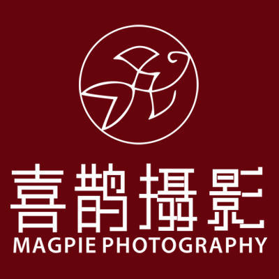 丽江喜鹊摄影