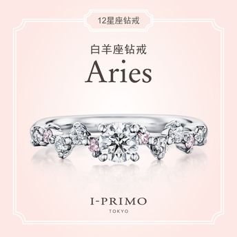 I-PRIMO：Aries