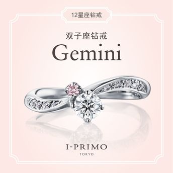 I-PRIMO：Gemini