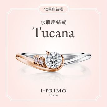 I-PRIMO：Tucana