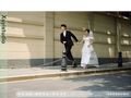 婚博会推荐广州婚纱照拍摄工作室4套双外景摄影