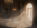 轻奢系列·《宫廷之夜》·高出片率 仪式感婚纱照