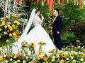 草坪婚礼 | 橘色系向日葵主题-花园草坪