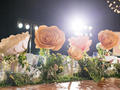 【卡罗婚礼】全场鲜花布置送首席四大金刚
