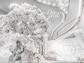 思吟丨DreamPark·明亮温馨现代时尚洁白色系主题婚礼