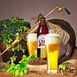 婚礼订制酒——PB精酿啤酒——比利时清香小麦