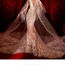 Atelier Pronovias国际婚纱