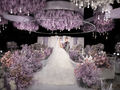 成都婚礼 | 紫色系梦幻花园主题婚礼