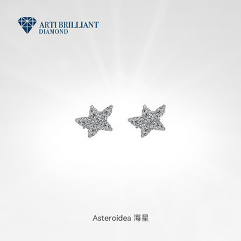 Asteroidea 海星⊹情侣信物生日礼物耳钉