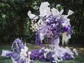 米迪婚礼 | 浪漫紫色小众户外