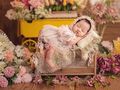 新生儿摄影·新生儿照+亲子合影·4套服装·
