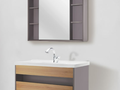 摩恩 (MOEN) 卢米系列镜柜 温馨褐色浴室单独镜柜 带置物架卫生间镜柜