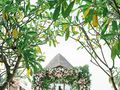 【巴厘岛婚礼】凯宾斯基海滨教堂婚礼