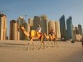 驴妈妈国旅 （西北角店）：阿联酋迪拜超值6日游